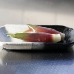 黒釉白掛分隅切長角皿