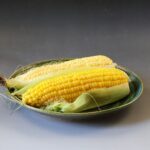 織部8寸皿