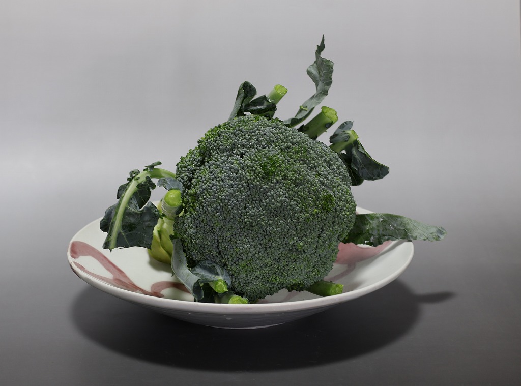 釉裏紅輪紋9寸深皿